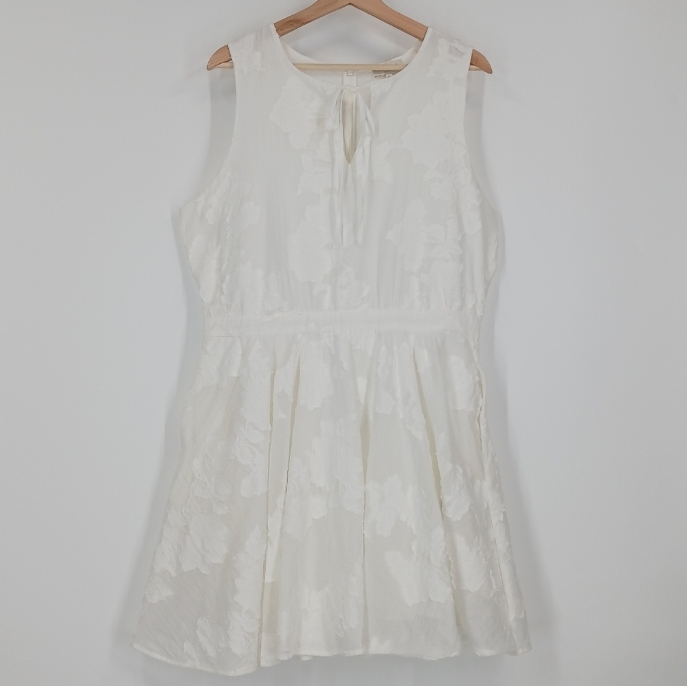 Ted Baker Maylee Floral Applique Mini Dress